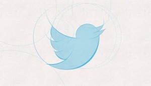new twitter bird