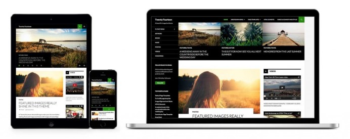 wordpress 3.8 twenty fourteen