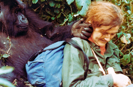 dian-fossey-digit