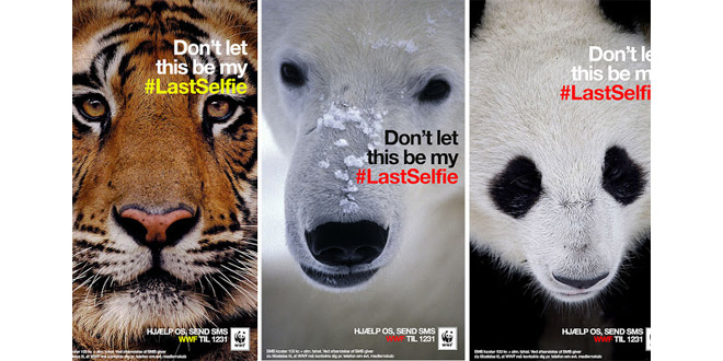 wwf-lastfelfie