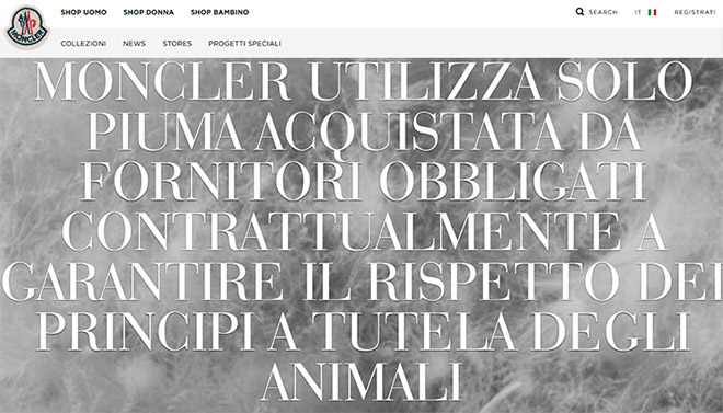 report_moncler