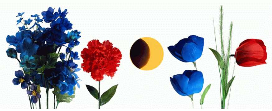 google-doodle-eclissi