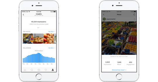 instagram business insight