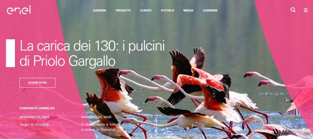 enel sito web storytelling