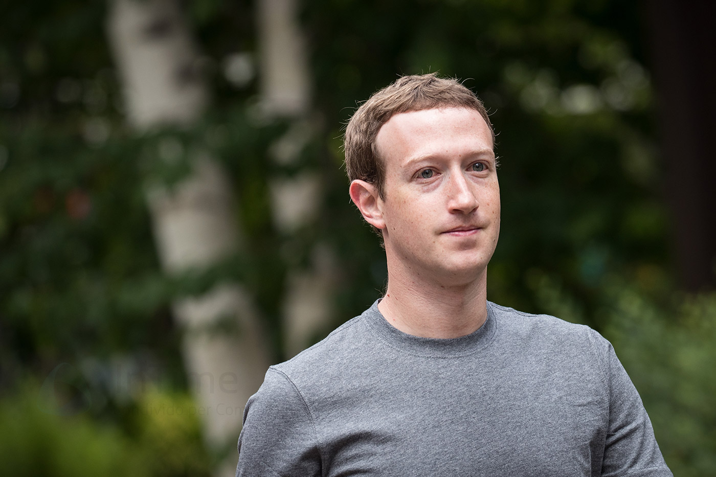 mark zuckerberg facebook cambridge analytica wall street