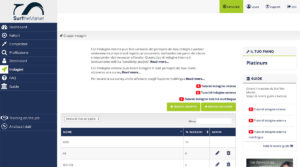 surf the market webapp indagini