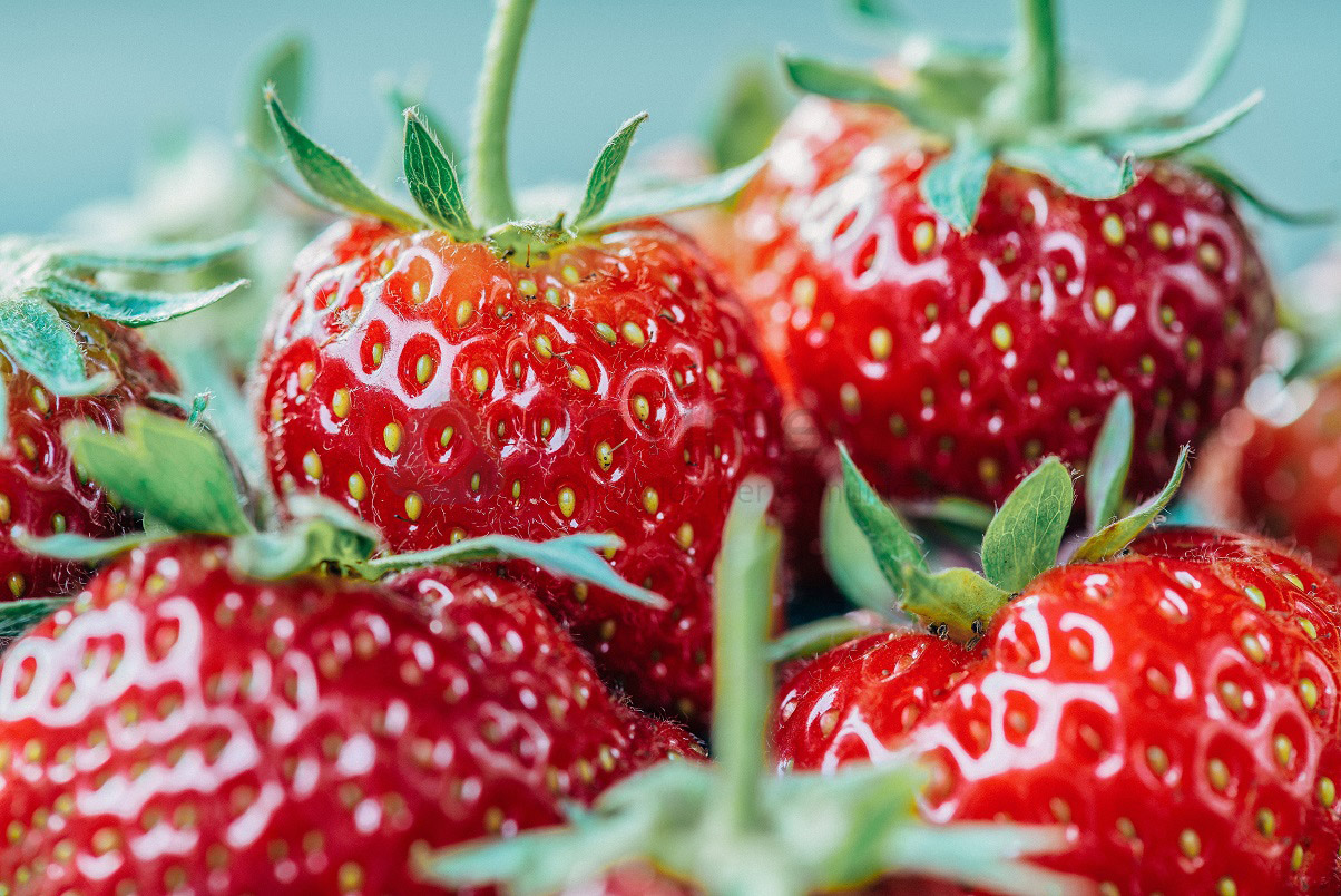 frutta verdura domicilio online