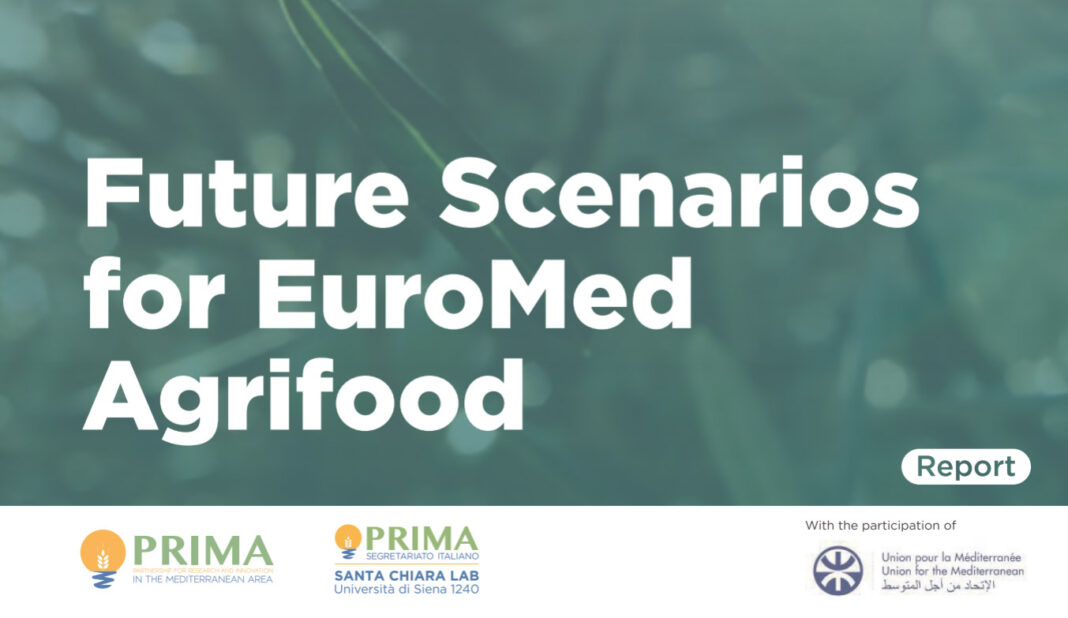 Blockchain, Intelligenza Artificiale e e-commerce per rilanciare l’agrifood