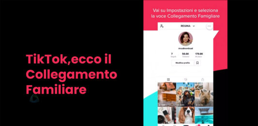 tiktok collegamento familiare franzrusso.it 2020
