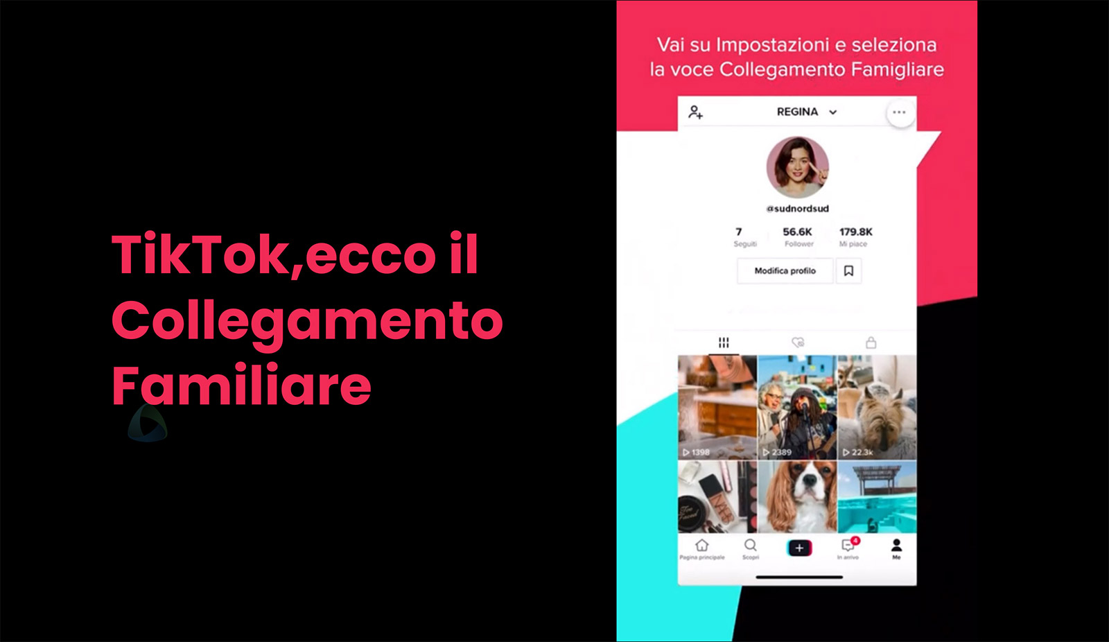 tiktok collegamento familiare franzrusso.it 2020