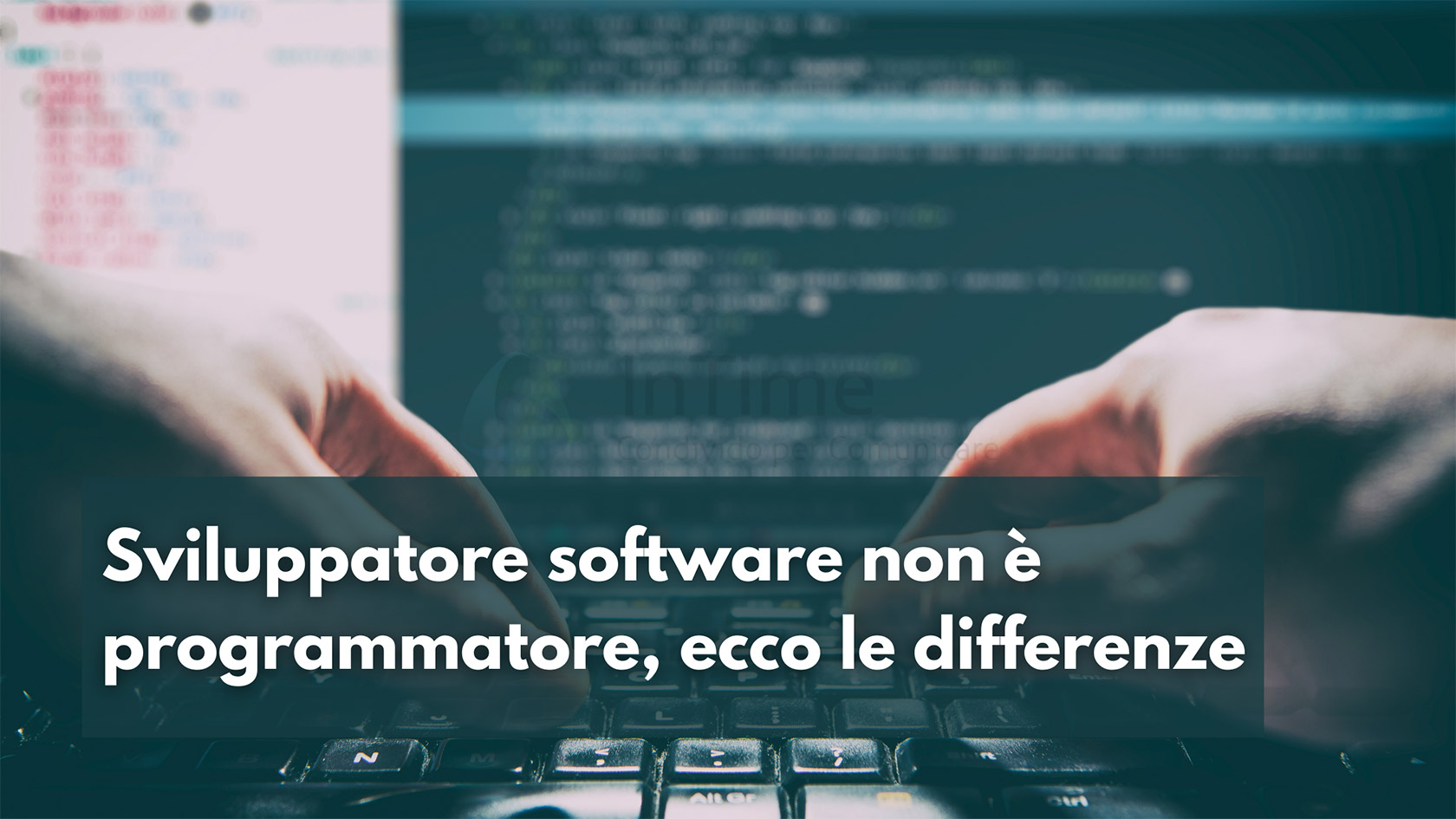 Sviluppatore software-programmatore differenze