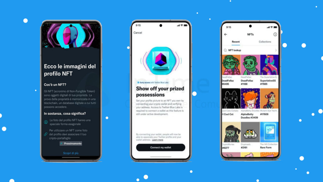 Twitter, NFT nella foto profilo solo per abbonati a Twitter Blue