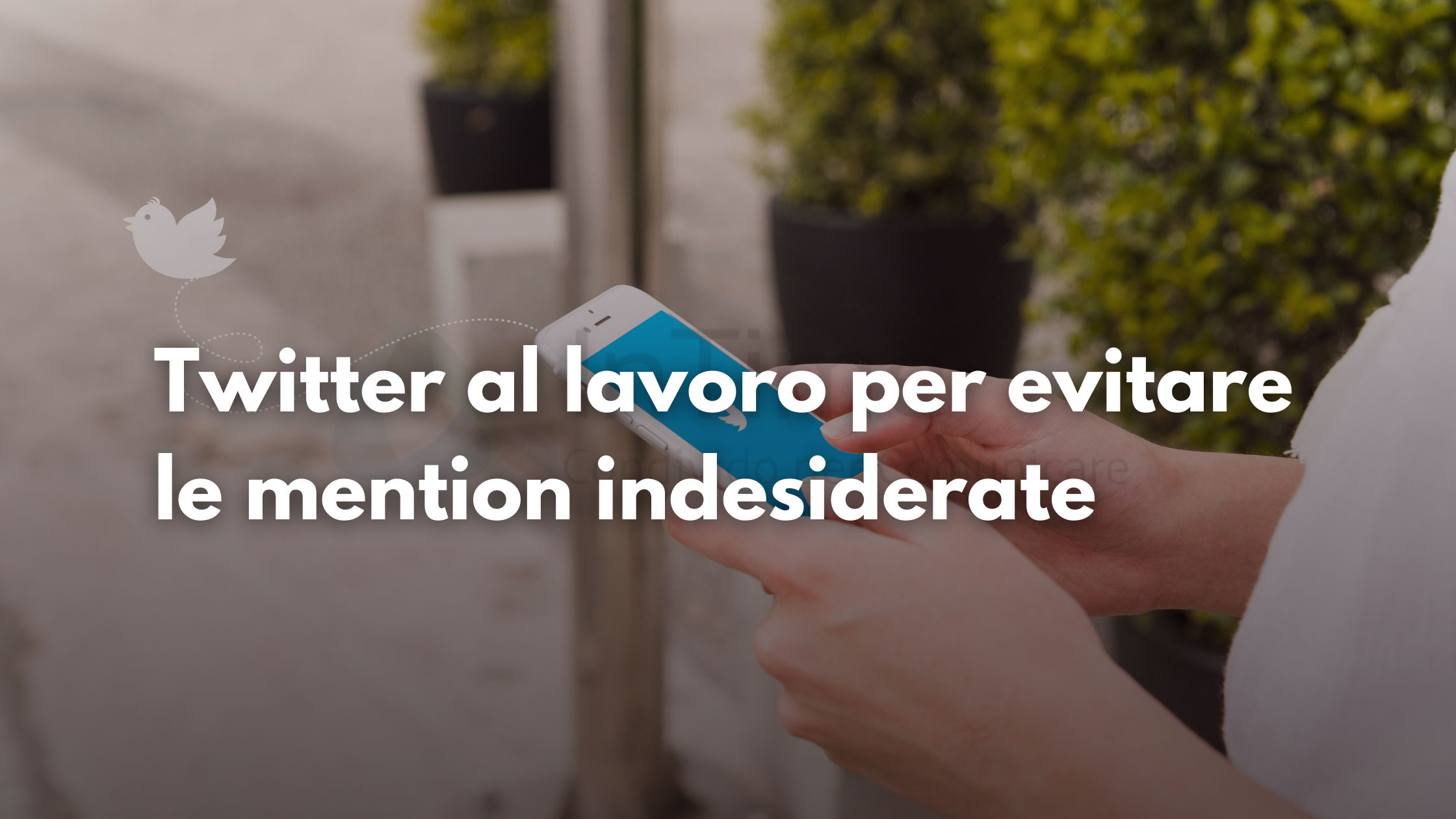 Twitter al lavoro per evitare le mention indesiderate