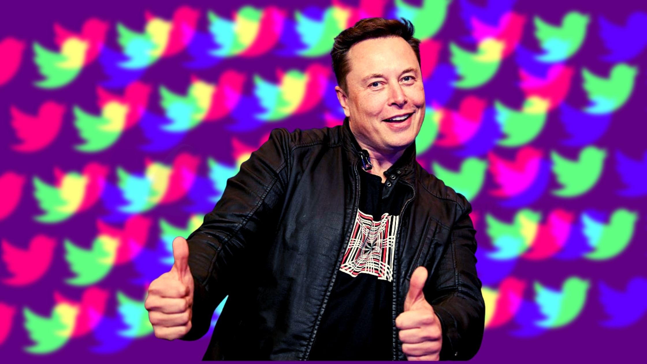 Il futuro di Twitter è legato al destino di Elon Musk