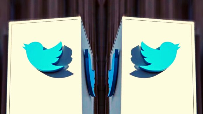 twitter dati 2022