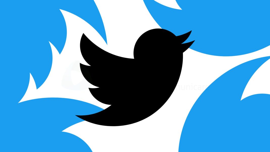 Elon Musk comincia a dare forma alla sua idea di Twitter