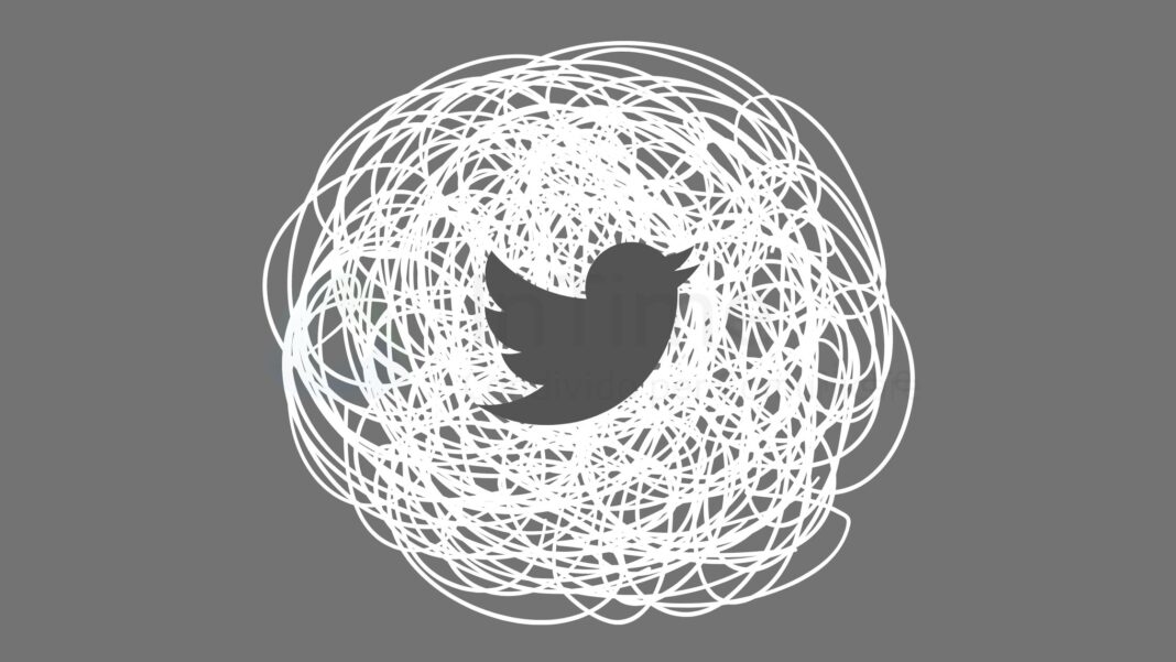 Elon Musk e Twitter Blue, tra caos e bancarotta