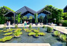 Imprese aperte 2023: innovazione, formazione e futuro davines imprese aperte parma 2023