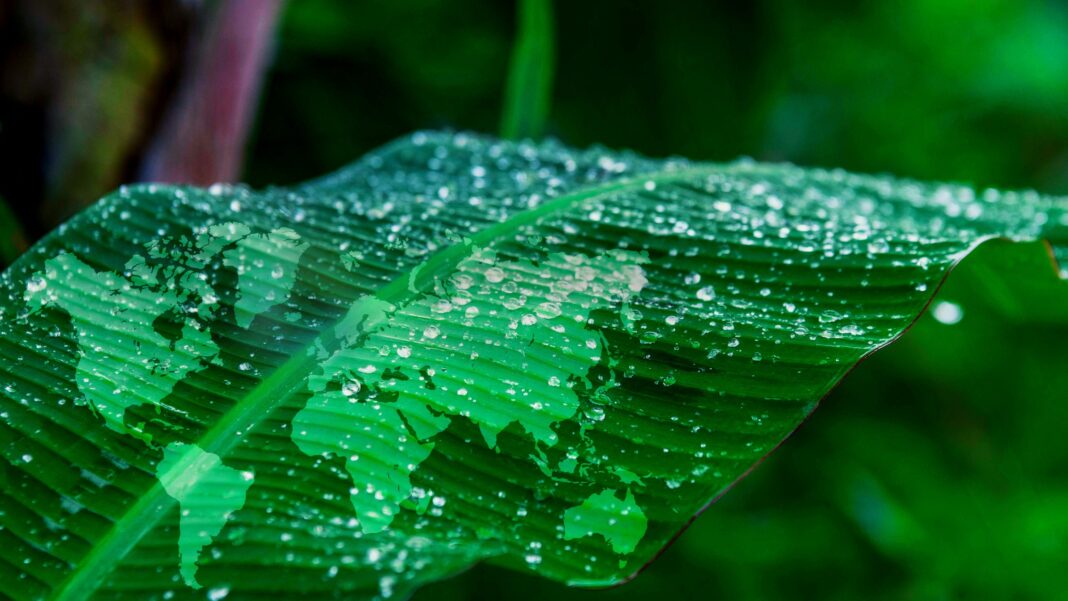 Come comunicare la Sostenibilità su digitale e social media