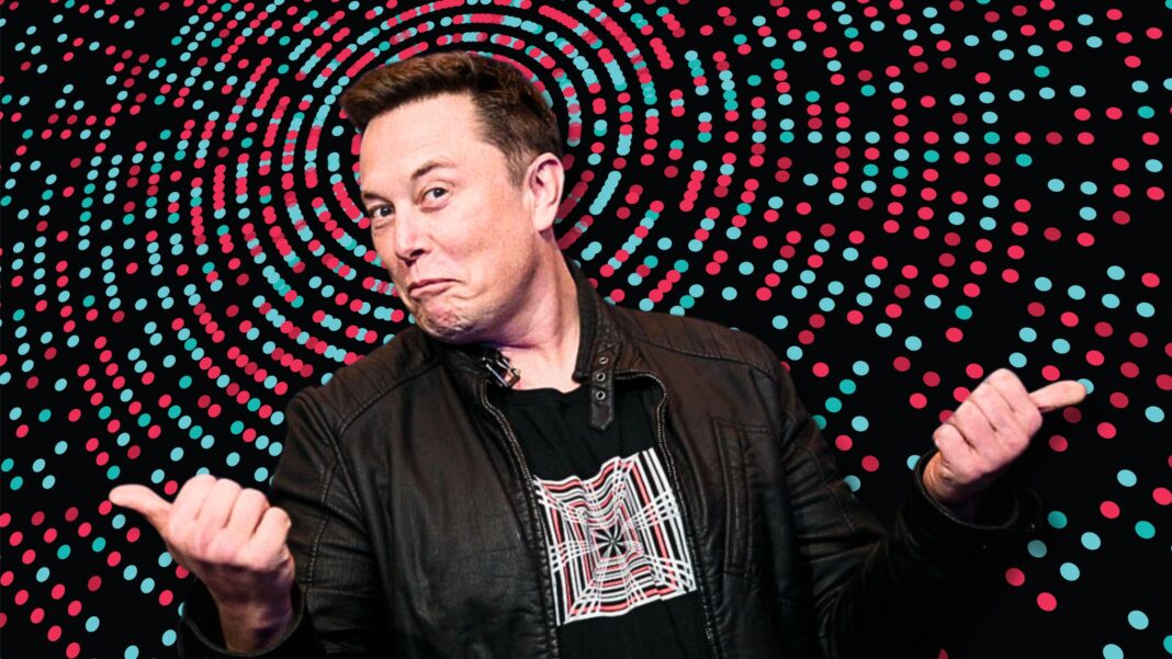 Se Elon Musk acquistasse davvero TikTok Usa
