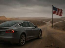 Elon Musk riduce il suo ruolo al DOGE mentre Tesla crolla