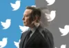 Elon Musk ha ingannato gli azionisti di Twitter, e li deve risarcire